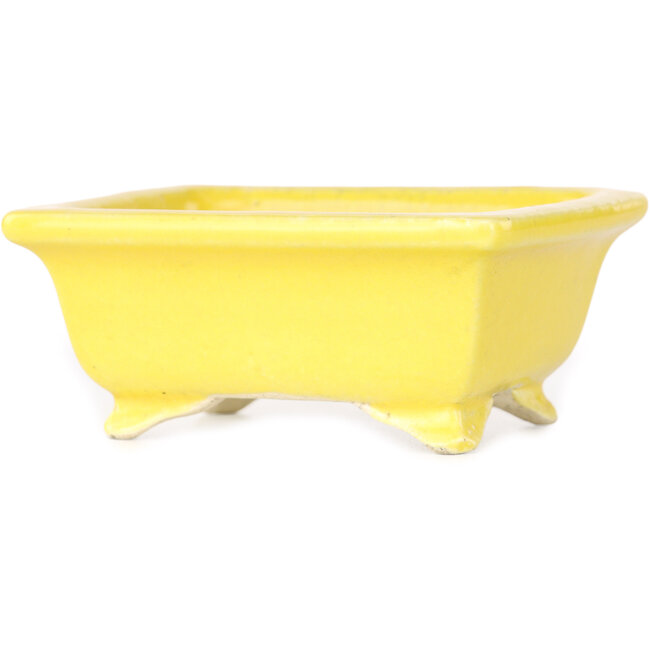 Rectangular yellow bonsai pot by Shibakatsu - 87 x 70 x 38 mm