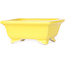 Rechthoekige gele bonsaipot van Shibakatsu - 87 x 70 x 38 mm