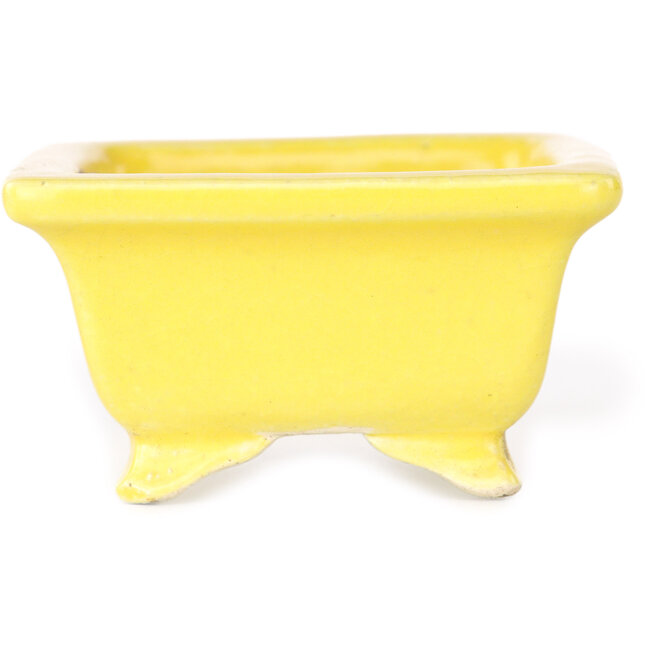 Pot à bonsaï rectangulaire jaune de Shibakatsu - 87 x 70 x 38 mm