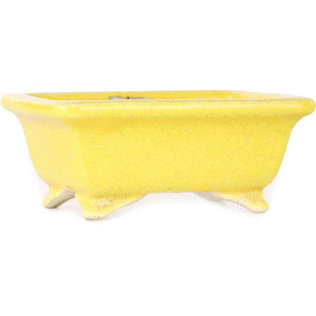 Pot à bonsaï rectangulaire jaune de Shibakatsu - 87 x 70 x 38 mm