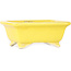 Rechthoekige gele bonsaipot van Shibakatsu - 87 x 70 x 38 mm