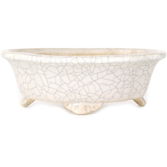  Shibakatsu (Katsuichi Shibata) 190 mm  white craquelé bonsai pot by Shibakatsu, Tokoname, Japan