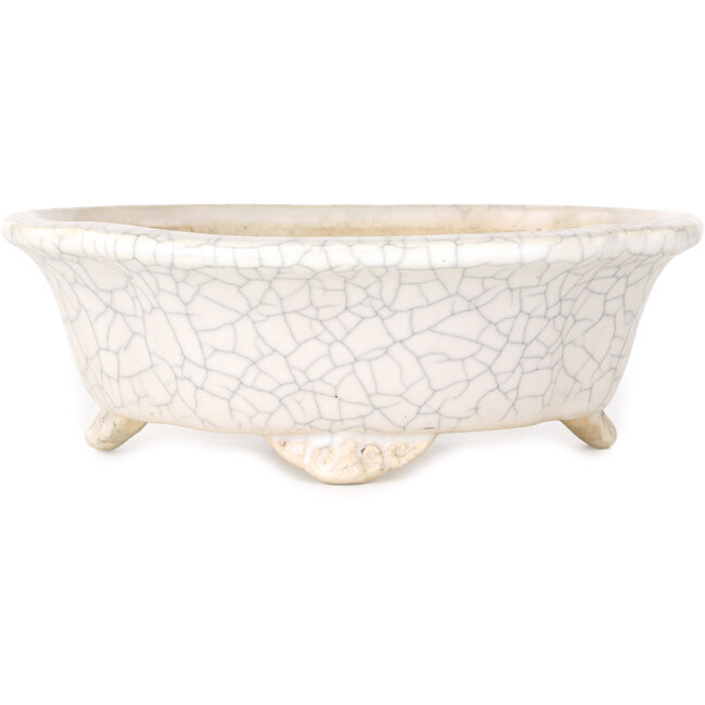 Mokko white craquelé bonsai pot by Shibakatsu - 190 x 175 x 65 mm