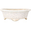 Mokko white craquelé bonsai pot by Shibakatsu - 190 x 175 x 65 mm
