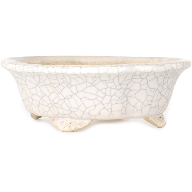 Mokko witte craquelé bonsaipot van Shibakatsu - 190 x 175 x 65 mm