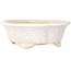 Mokko white craquelé bonsai pot by Shibakatsu - 190 x 175 x 65 mm