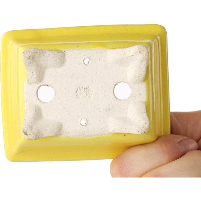 Maceta rectangular amarilla para bonsái de Shibakatsu - 87 x 70 x 38 mm
