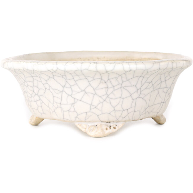 Mokko witte craquelé bonsaipot van Shibakatsu - 190 x 175 x 65 mm