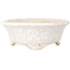 Mokko white craquelé bonsai pot by Shibakatsu - 190 x 175 x 65 mm