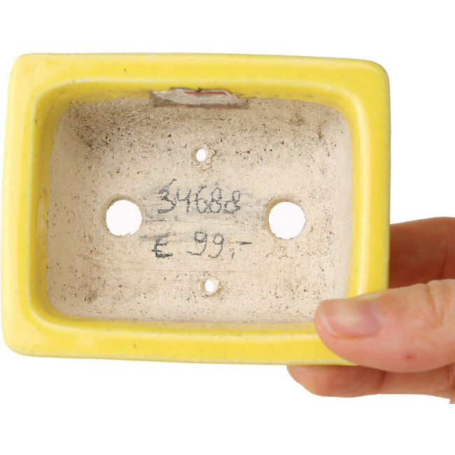Rechthoekige gele bonsaipot van Shibakatsu - 87 x 70 x 38 mm