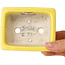Pot à bonsaï rectangulaire jaune de Shibakatsu - 87 x 70 x 38 mm