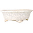 Mokko white craquelé bonsai pot by Shibakatsu - 190 x 175 x 65 mm