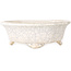 Mokko white craquelé bonsai pot by Shibakatsu - 190 x 175 x 65 mm