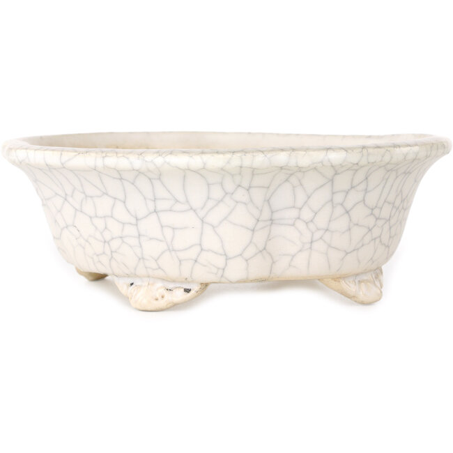 Mokko witte craquelé bonsaipot van Shibakatsu - 190 x 175 x 65 mm