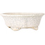 Mokko white craquelé bonsai pot by Shibakatsu - 190 x 175 x 65 mm