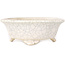 Mokko white craquelé bonsai pot by Shibakatsu - 190 x 175 x 65 mm