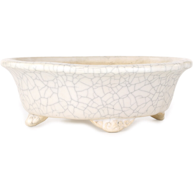 Mokko witte craquelé bonsaipot van Shibakatsu - 190 x 175 x 65 mm