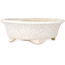 Mokko white craquelé bonsai pot by Shibakatsu - 190 x 175 x 65 mm
