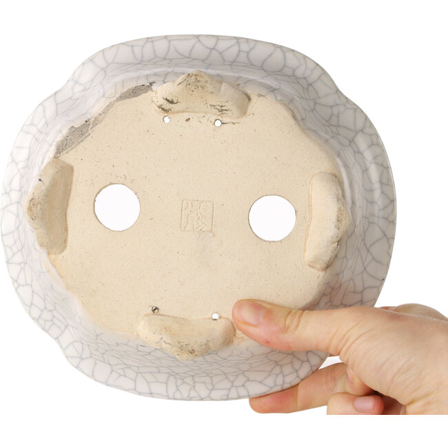 Mokko witte craquelé bonsaipot van Shibakatsu - 190 x 175 x 65 mm