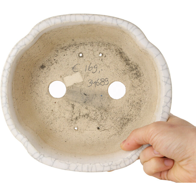 Pot à bonsaï Mokko craquelé blanc par Shibakatsu - 190 x 175 x 65 mm