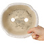 Mokko white craquelé bonsai pot by Shibakatsu - 190 x 175 x 65 mm