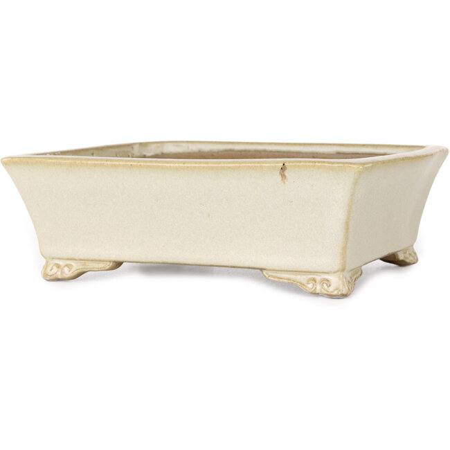 Maceta rectangular beige para bonsái de Shibakatsu - 185 x 145 x 58 mm