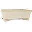 Pot à bonsaï rectangulaire beige de Shibakatsu - 185 x 145 x 58 mm