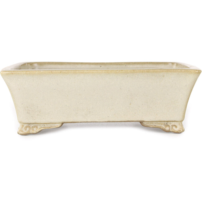 Maceta rectangular beige para bonsái de Shibakatsu - 185 x 145 x 58 mm