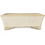 Rectangular beige bonsai pot by Shibakatsu - 185 x 145 x 58 mm