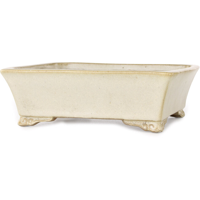 Rectangular beige bonsai pot by Shibakatsu - 185 x 145 x 58 mm