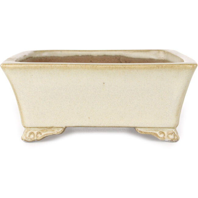 Maceta rectangular beige para bonsái de Shibakatsu - 185 x 145 x 58 mm