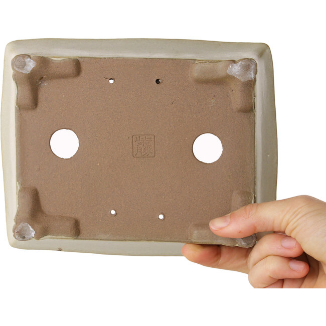 Pot à bonsaï rectangulaire beige de Shibakatsu - 185 x 145 x 58 mm