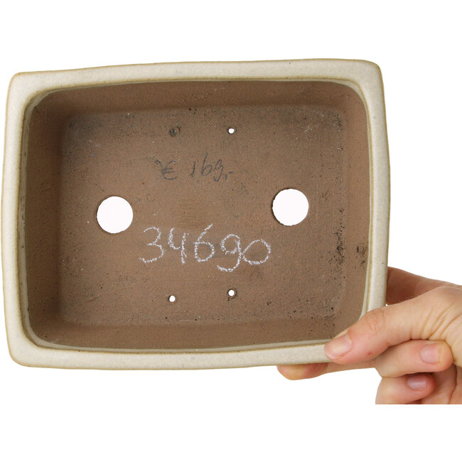 Rechthoekige beige bonsaipot van Shibakatsu - 185 x 145 x 58 mm
