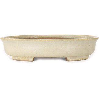  Shibakatsu (Katsuichi Shibata) 210 mm  beige bonsai pot by Shibakatsu, Tokoname, Japan