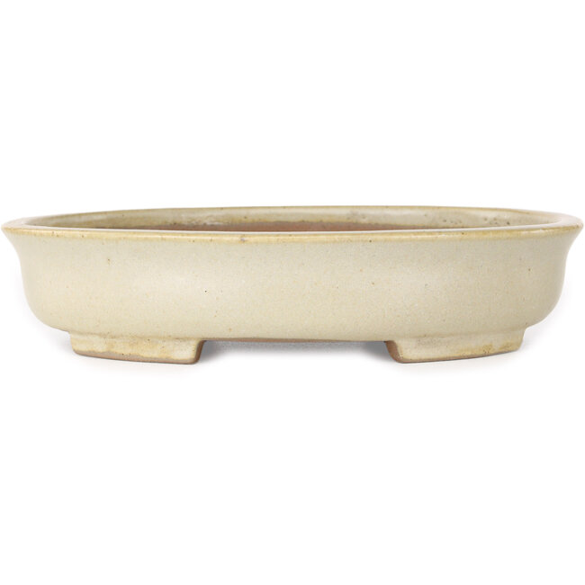 Oval beige bonsai pot by Shibakatsu - 210 x 180 x 45 mm