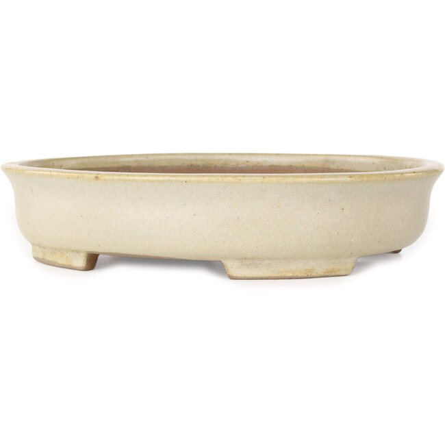 Maceta ovalada beige para bonsái de Shibakatsu - 210 x 180 x 45 mm