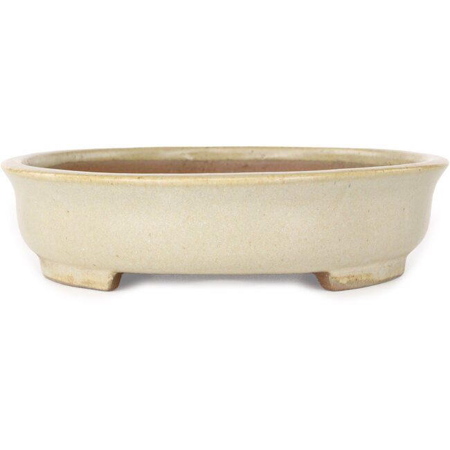 Vaso bonsai ovale beige di Shibakatsu - 210 x 180 x 45 mm