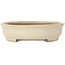 Oval beige bonsai pot by Shibakatsu - 210 x 180 x 45 mm