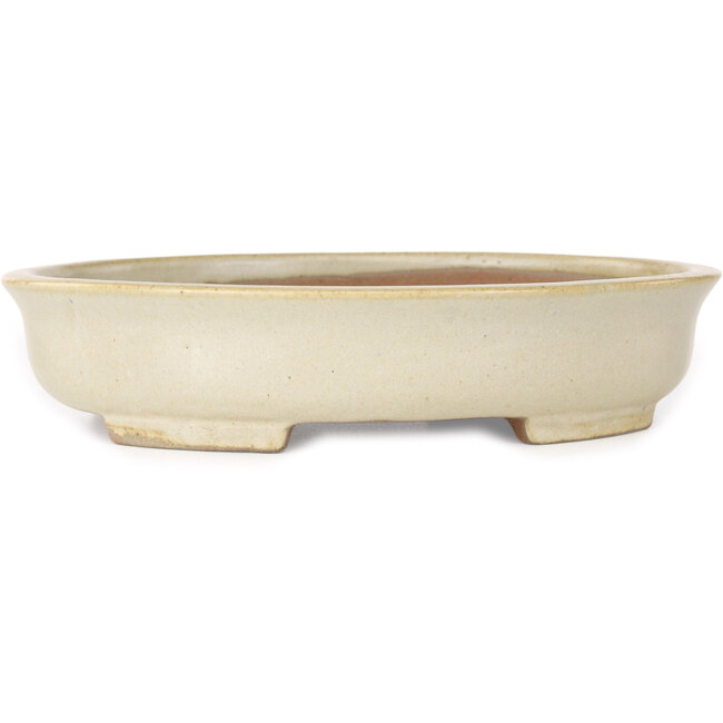 Pot à bonsaï ovale beige de Shibakatsu - 210 x 180 x 45 mm