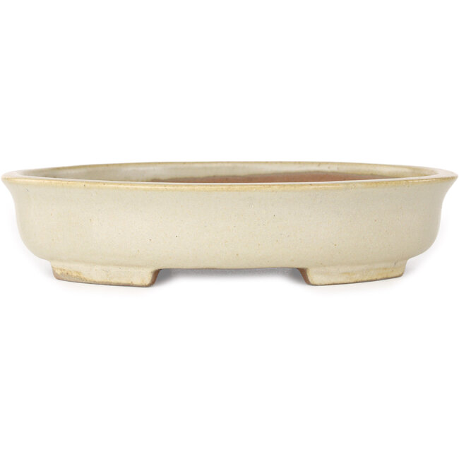 Pot à bonsaï ovale beige de Shibakatsu - 210 x 180 x 45 mm