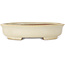 Oval beige bonsai pot by Shibakatsu - 210 x 180 x 45 mm
