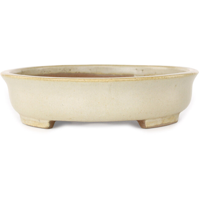 Ovale beige bonsaipot van Shibakatsu - 210 x 180 x 45 mm