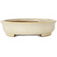 Oval beige bonsai pot by Shibakatsu - 210 x 180 x 45 mm