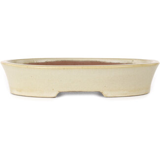  Shibakatsu (Katsuichi Shibata) 190 mm  beige bonsai pot by Shibakatsu, Tokoname, Japan