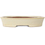 Oval beige bonsai pot by Shibakatsu - 190 x 142 x 37 mm