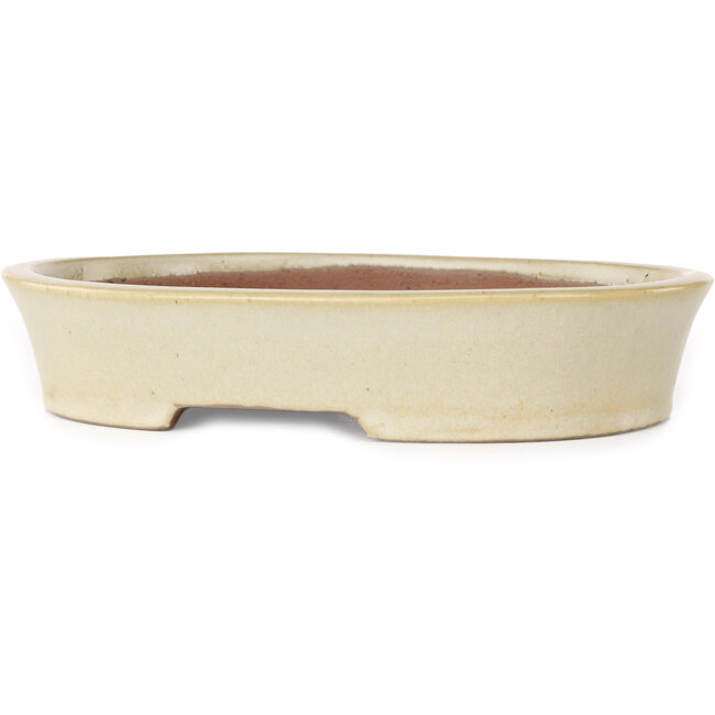 Ovale beige bonsaipot van Shibakatsu - 190 x 142 x 37 mm