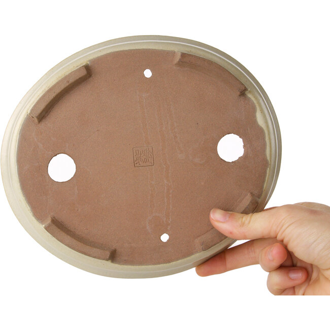 Pot à bonsaï ovale beige de Shibakatsu - 210 x 180 x 45 mm