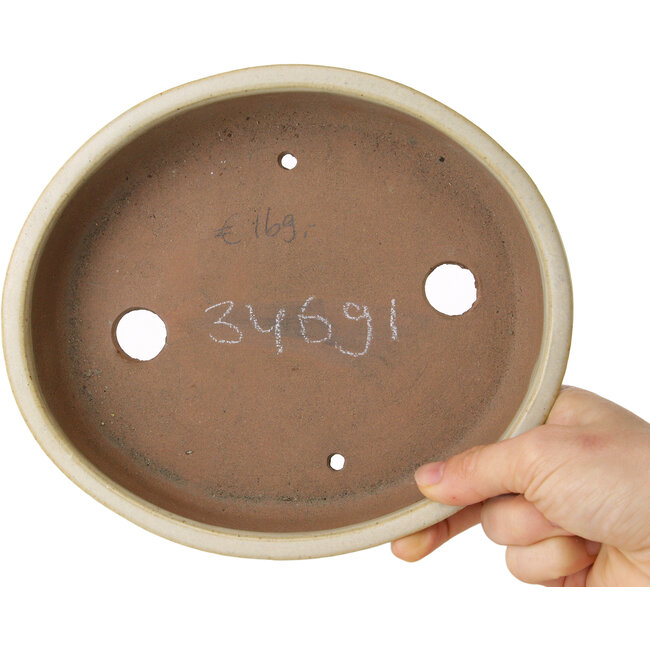 Oval beige bonsai pot by Shibakatsu - 210 x 180 x 45 mm