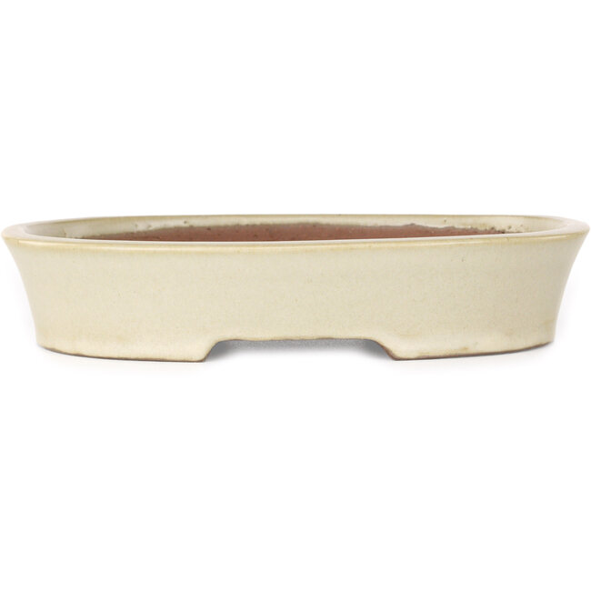 Ovale beige bonsaipot van Shibakatsu - 190 x 142 x 37 mm