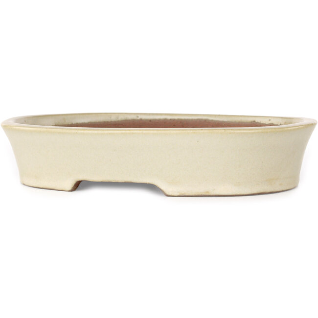 Pot à bonsaï ovale beige de Shibakatsu - 190 x 142 x 37 mm
